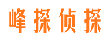 渭南侦探社